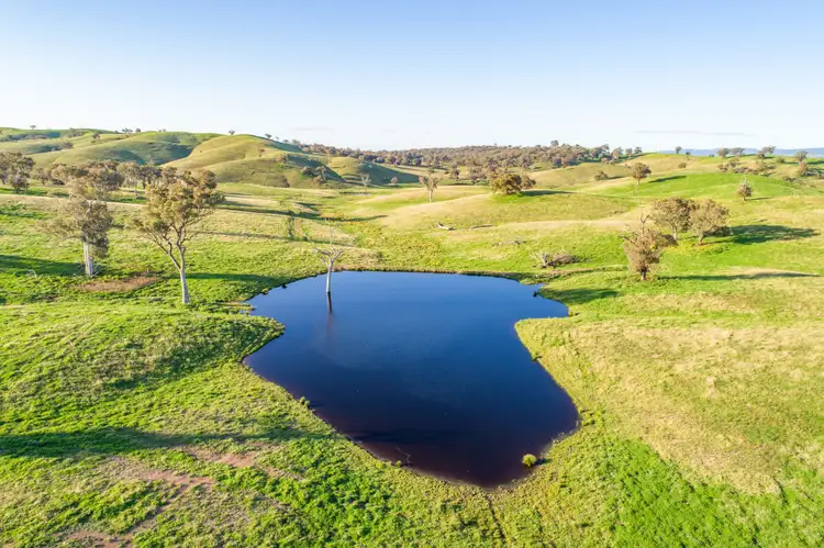 Third view of Homely rural property listing, 395 Old Yullundry Road, Cumnock NSW 2867