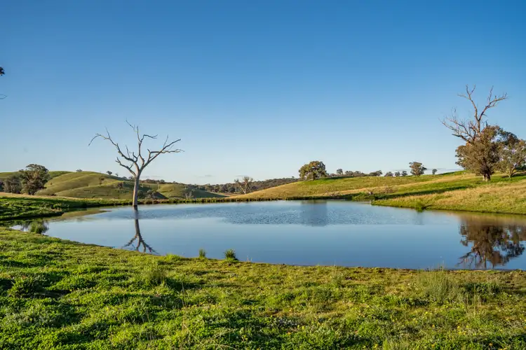 Fifth view of Homely rural property listing, 395 Old Yullundry Road, Cumnock NSW 2867