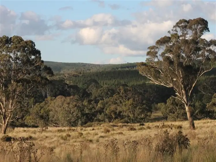 1362 Bald Ridge Road, Burraga NSW 2795