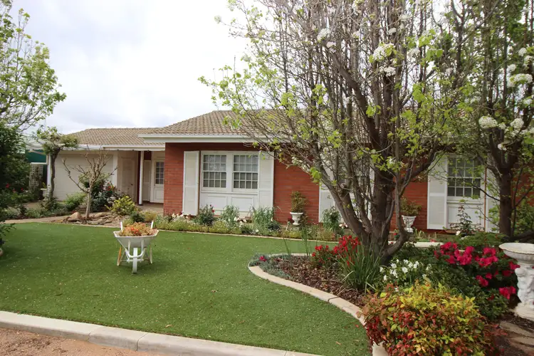 Main view of Homely house listing, 6 Dowling Street, Waikerie SA 5330