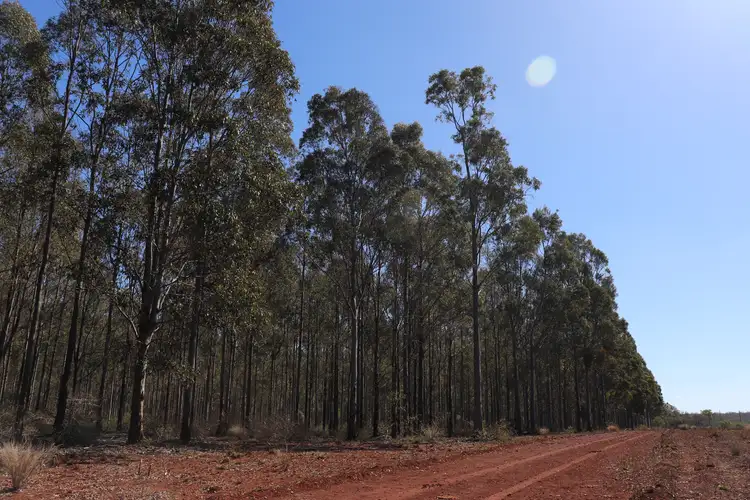 Second view of Homely rural property listing, 'Meredith' Forestry Road, Gurgeena QLD 4626