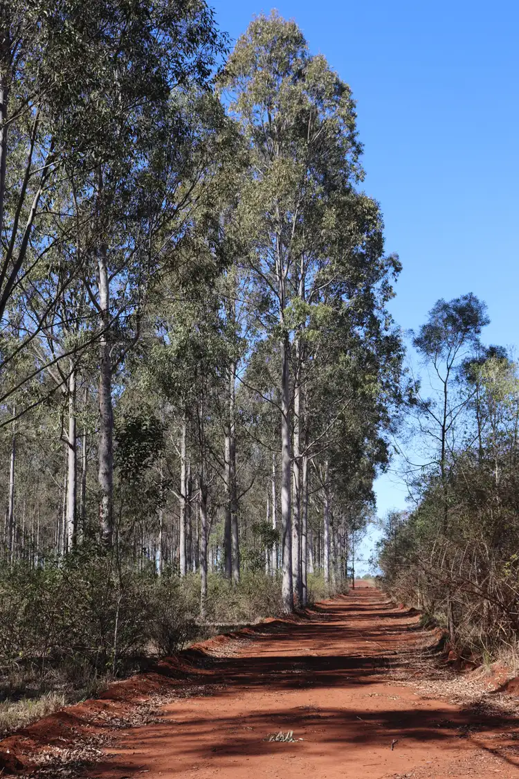 Third view of Homely rural property listing, 'Meredith' Forestry Road, Gurgeena QLD 4626