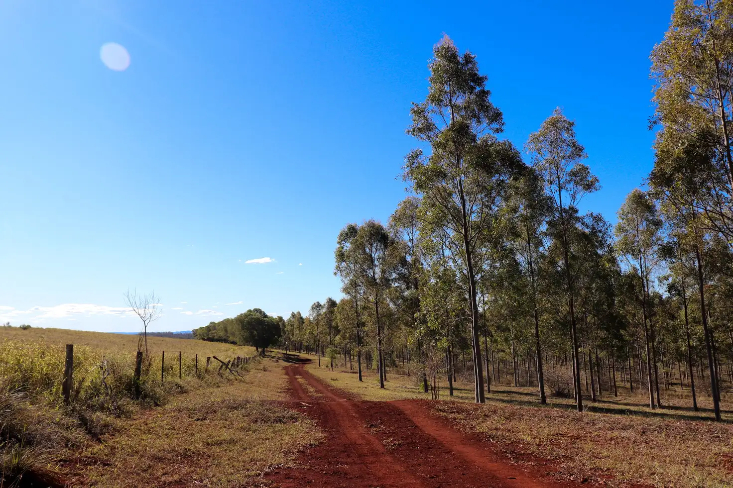Main view of Homely rural property listing, 'Cole' Cobbs Hill Road, Murgon QLD 4605