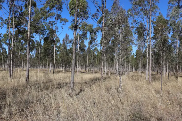Second view of Homely rural property listing, 'Thomson' Mundubbera-Durong Road, Boondooma QLD 4613