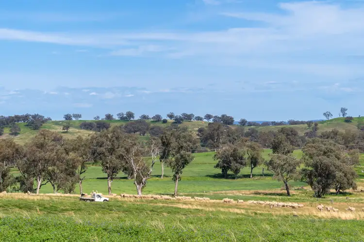 Second view of Homely rural property listing, 6119 Burrendong Way, Stuart Town NSW 2820