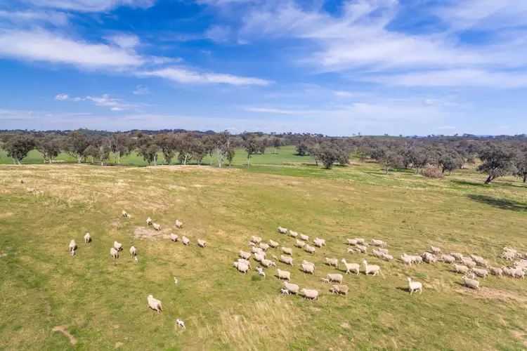 Fourth view of Homely rural property listing, 6119 Burrendong Way, Stuart Town NSW 2820