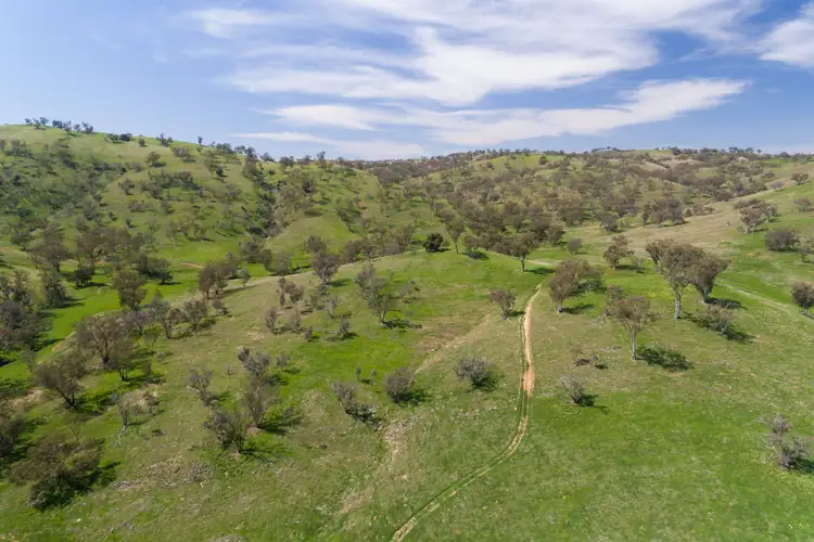 Sixth view of Homely rural property listing, 6119 Burrendong Way, Stuart Town NSW 2820