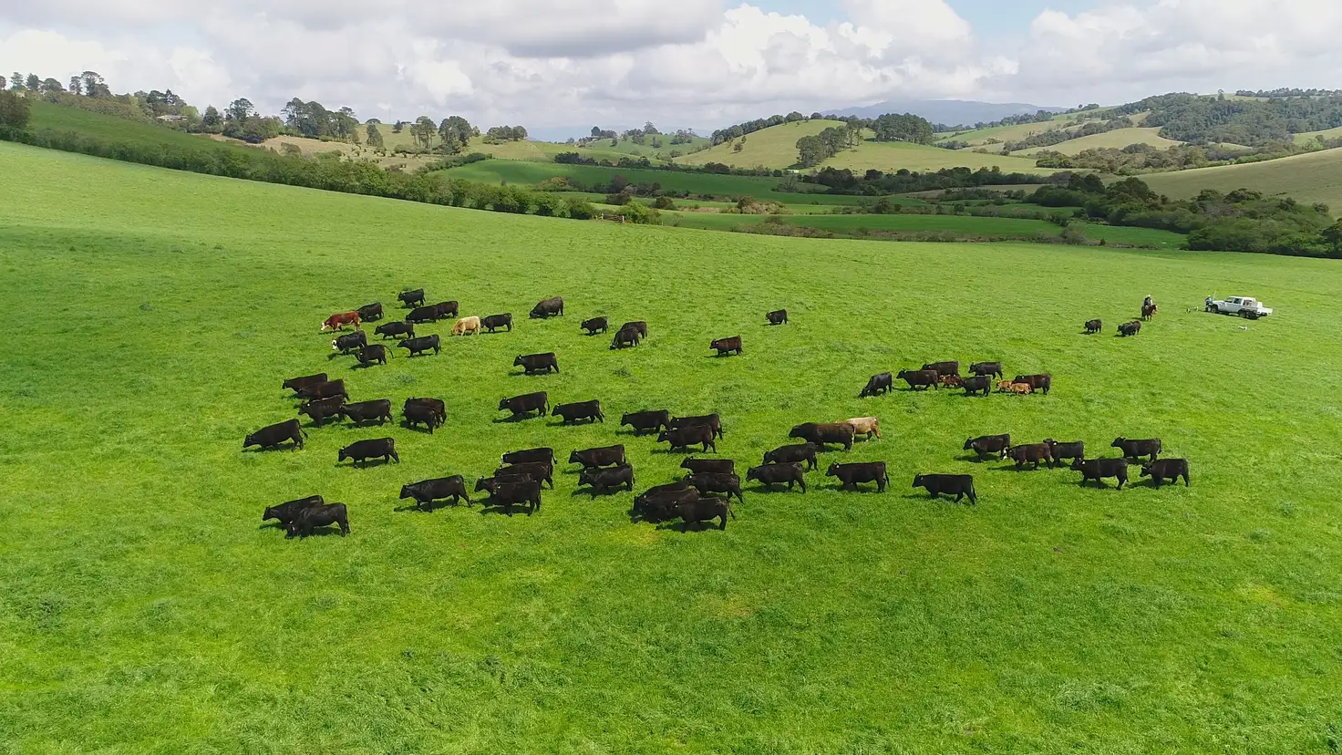 Main view of Homely rural property listing, Address available on request