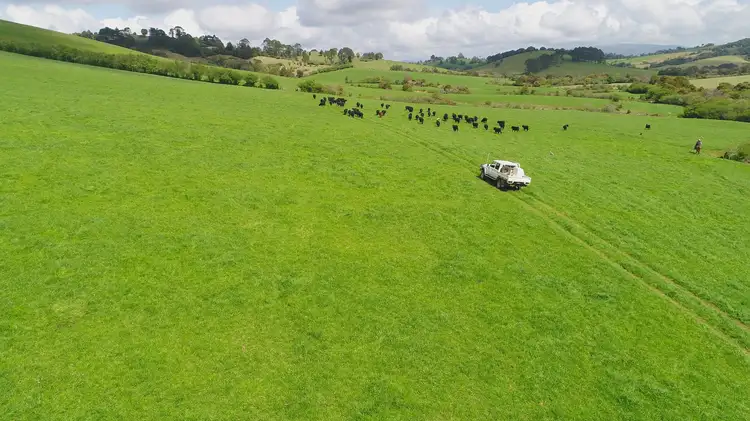 Third view of Homely rural property listing, Address available on request