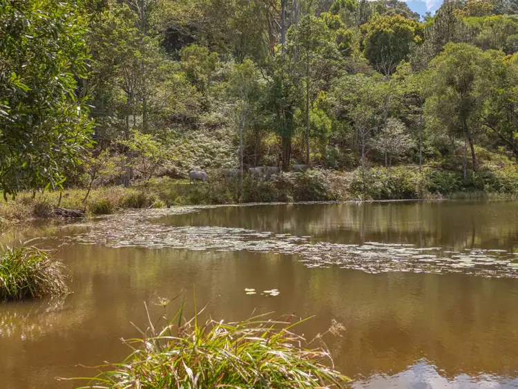 Fifth view of Homely land listing, 907 Neusavale Road, Kin Kin QLD 4571