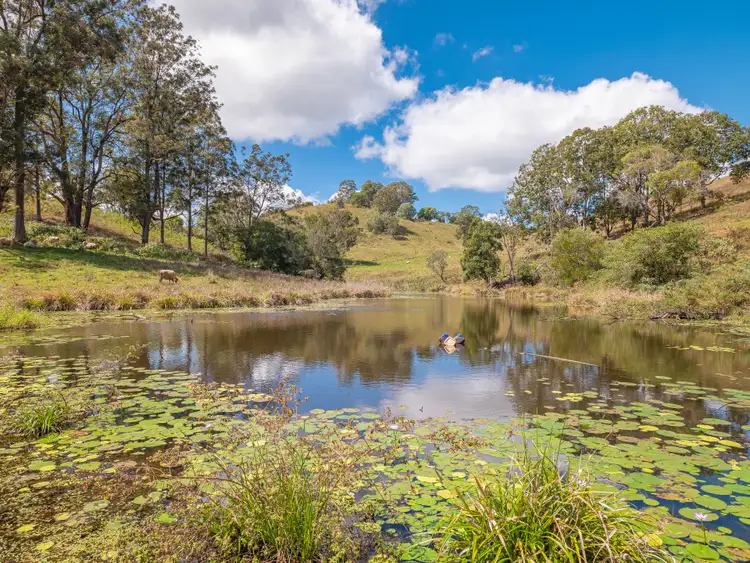 Fourth view of Homely house listing, 903 Neusavale Road, Kin Kin QLD 4571
