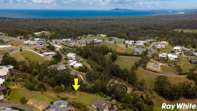 Main view of Homely land listing, 15 Lorikeet Way, Tallwoods Village NSW 2430