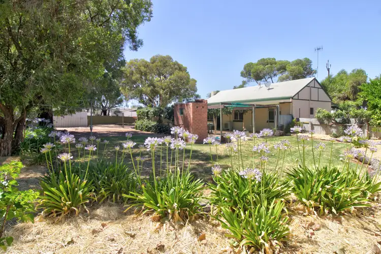 Main view of Homely house listing, 202 Tooravale Road, Monash SA 5342