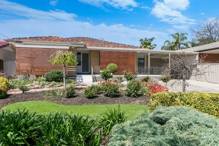 Main view of Homely house listing, 83 Warren Road, Modbury North SA 5092