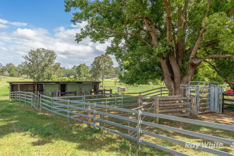Third view of Homely rural property listing, 13150 Summerland Way, Kyogle NSW 2474