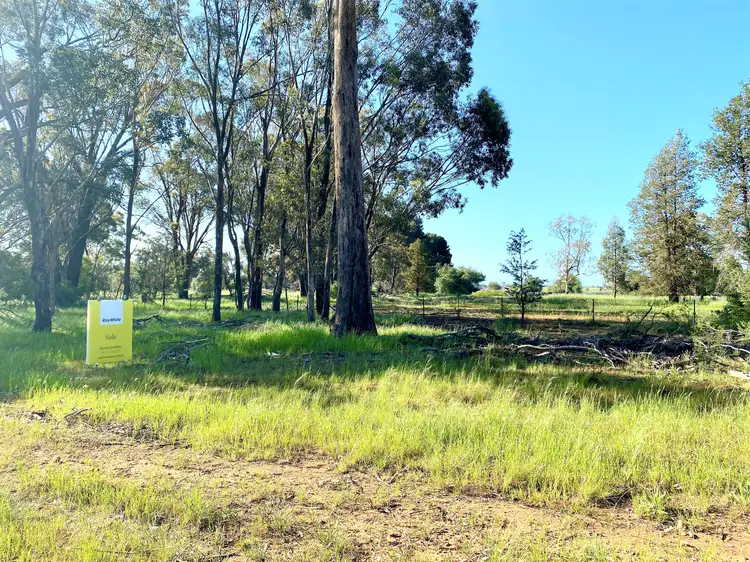 1696 Tubbul Road, Tubbul NSW 2594