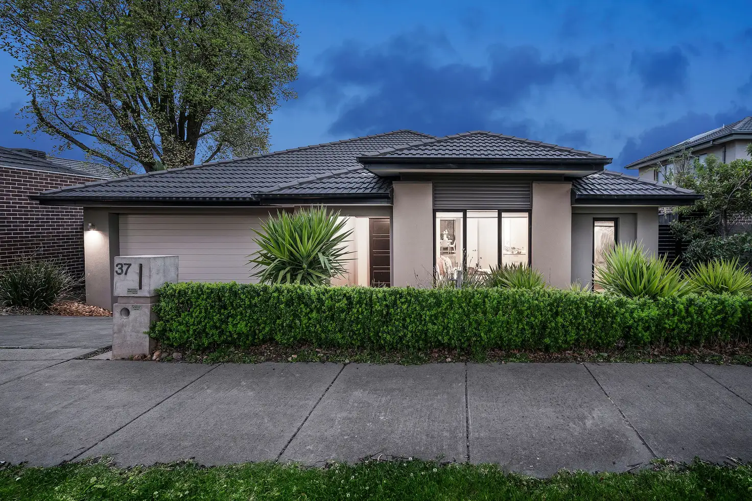 Main view of Homely house listing, 37 Camville Road, Mulgrave VIC 3170
