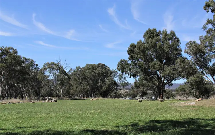 Fifth view of Homely rural property listing, 214 Tarban Loop Road, Tenterfield NSW 2372
