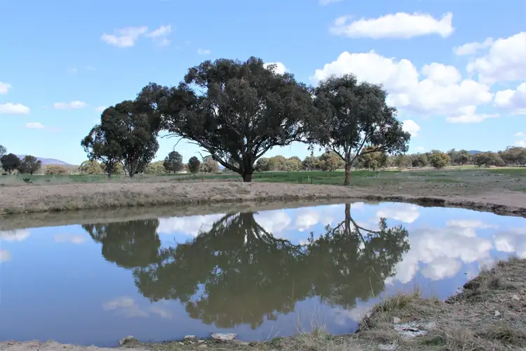 Seventh view of Homely rural property listing, 214 Tarban Loop Road, Tenterfield NSW 2372