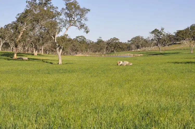 Third view of Homely rural property listing, "Lower 4 Mile" Strachan Road, Deepwater NSW 2371