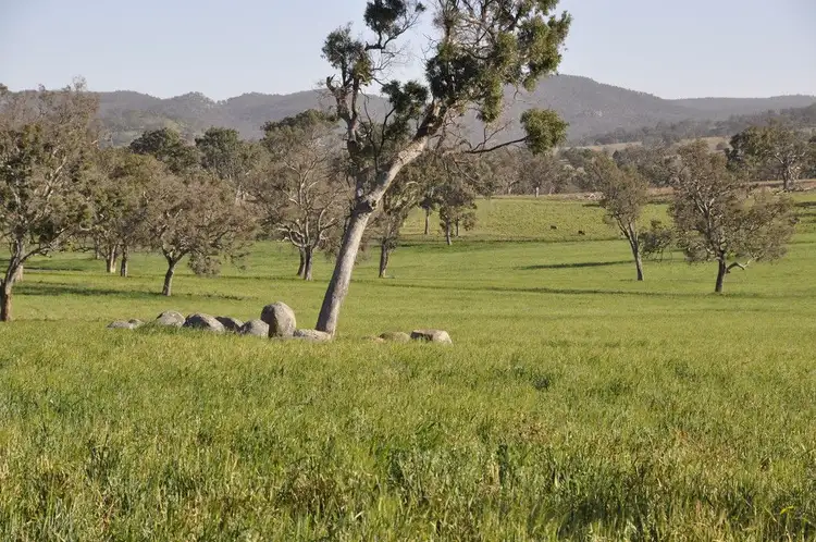 Seventh view of Homely rural property listing, "Lower 4 Mile" Strachan Road, Deepwater NSW 2371