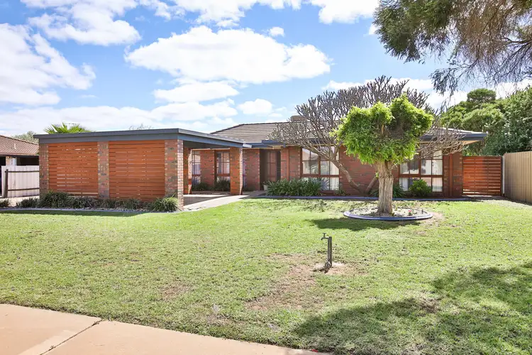 3 Miller Avenue, Mildura VIC 3500