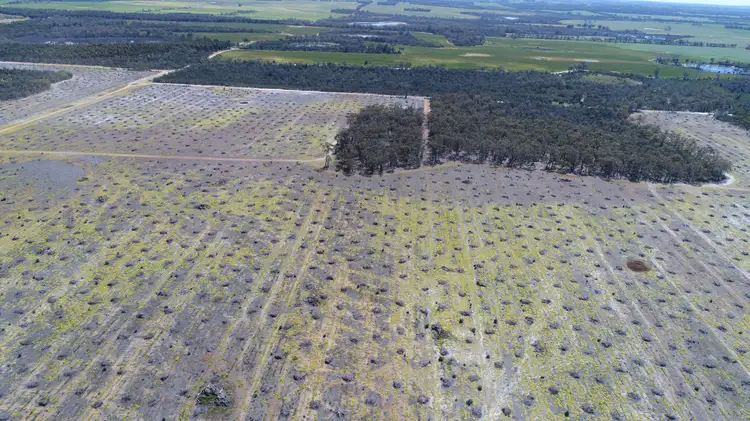 674 Kwornicup Road, Forest Hill WA 6324