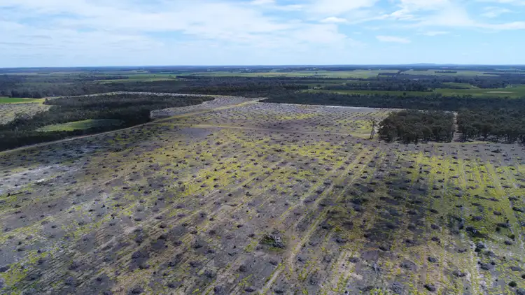 Seventh view of Homely rural property listing, 674 Kwornicup Road, Forest Hill WA 6324