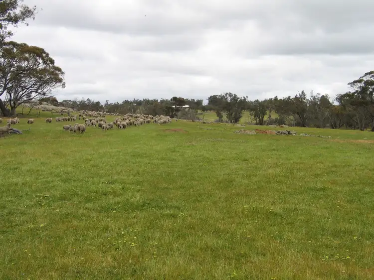 Second view of Homely rural property listing, Browns Clarke Road, Coalfields Highway, Arthur River WA 6315