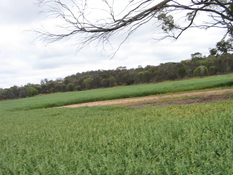 Third view of Homely rural property listing, Browns Clarke Road, Coalfields Highway, Arthur River WA 6315
