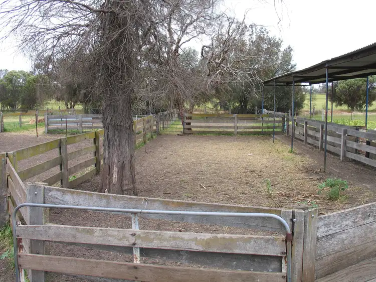 Fifth view of Homely rural property listing, Browns Clarke Road, Coalfields Highway, Arthur River WA 6315