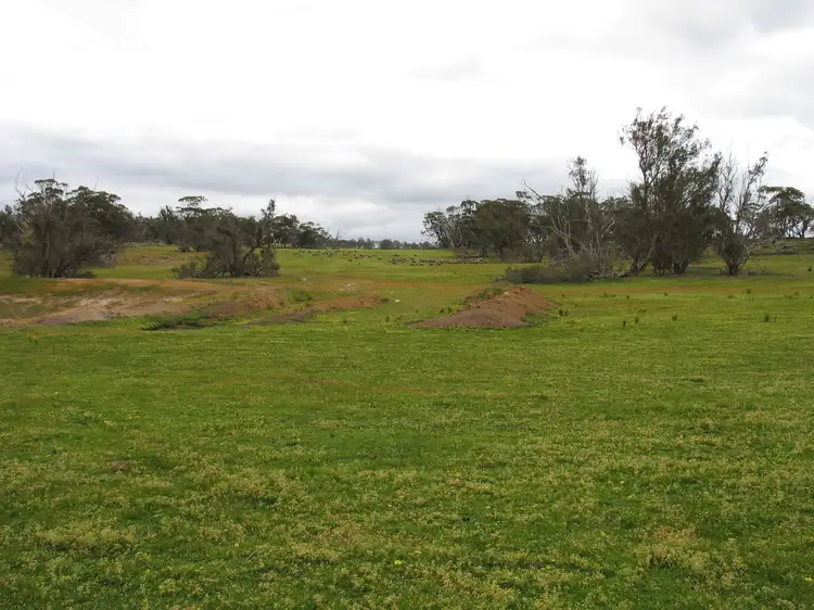 Seventh view of Homely rural property listing, Browns Clarke Road, Coalfields Highway, Arthur River WA 6315