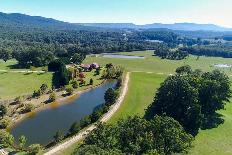 Main view of Homely rural property listing, 7 South Forest Way, Braidwood NSW 2622