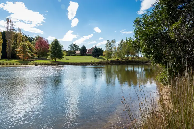 Fifth view of Homely rural property listing, 7 South Forest Way, Braidwood NSW 2622