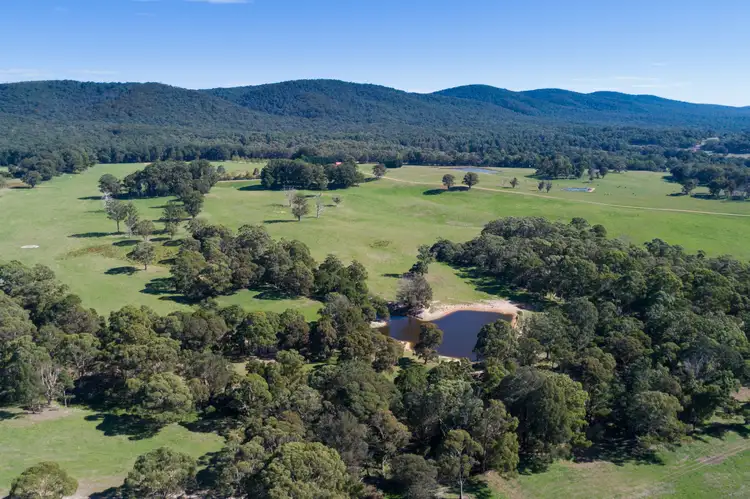 Seventh view of Homely rural property listing, 7 South Forest Way, Braidwood NSW 2622