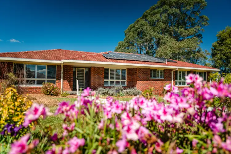 Main view of Homely house listing, 37 Kurrajong Street, Dorrigo NSW 2453