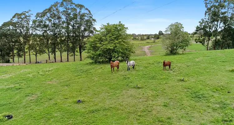 Fifth view of Homely rural property listing, 558 Comleroy Road, Kurrajong NSW 2758