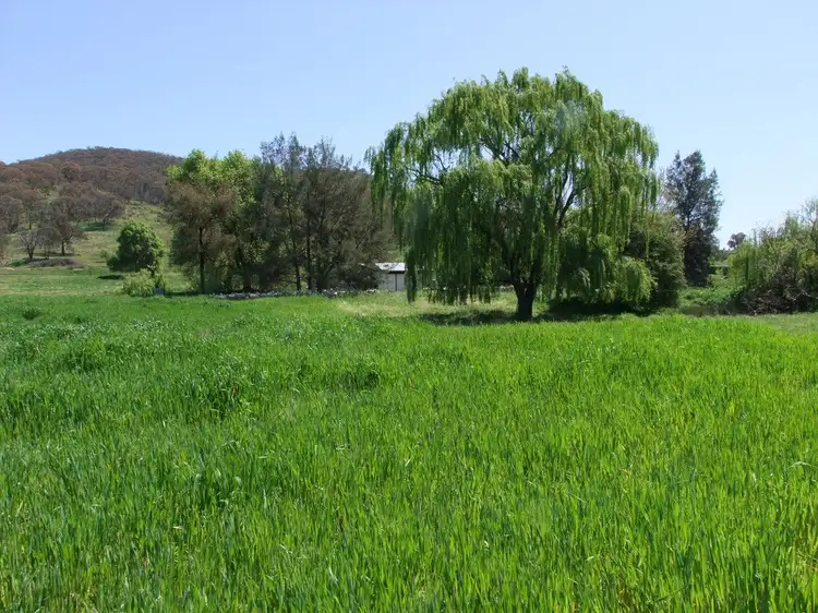 Main view of Homely rural property listing, Address available on request