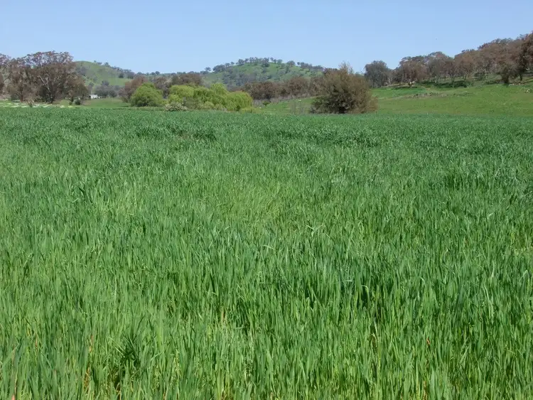 Second view of Homely rural property listing, Address available on request