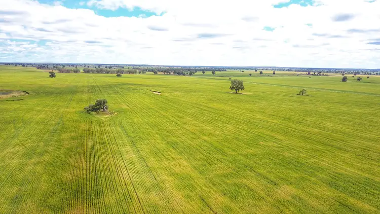 Second view of Homely rural property listing, Ioanumba 190 Ootha Road, Trundle NSW 2875