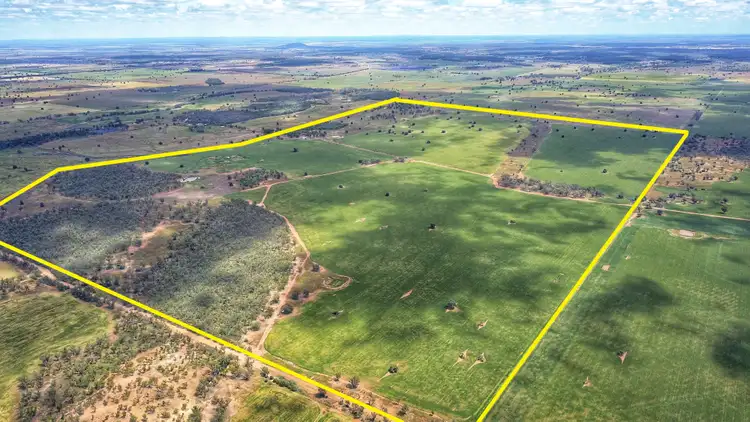 Fourth view of Homely rural property listing, Ioanumba 190 Ootha Road, Trundle NSW 2875