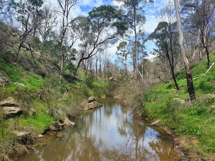 Lot 19 Ningee Nimble Creek Road, Tomboye, Braidwood NSW 2622