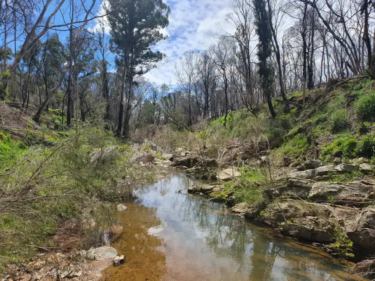 Third view of Homely rural property listing, Lot 19 Ningee Nimble Creek Road, Tomboye, Braidwood NSW 2622