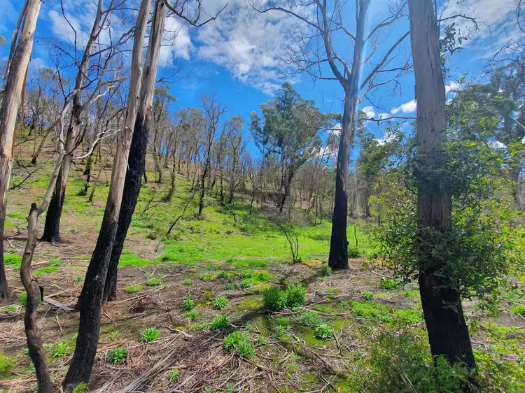 Fifth view of Homely rural property listing, Lot 19 Ningee Nimble Creek Road, Tomboye, Braidwood NSW 2622