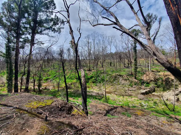 Sixth view of Homely rural property listing, Lot 19 Ningee Nimble Creek Road, Tomboye, Braidwood NSW 2622