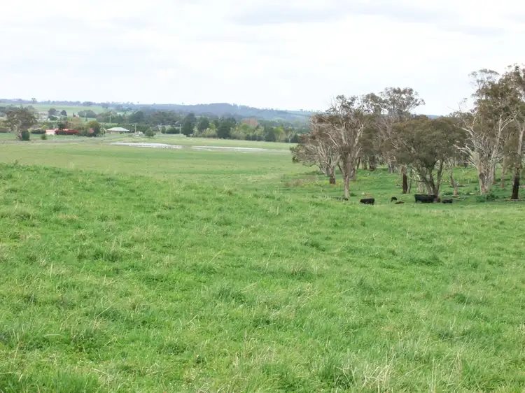 Main view of Homely rural property listing, 397 Forest Road, Spring Hill NSW 2800
