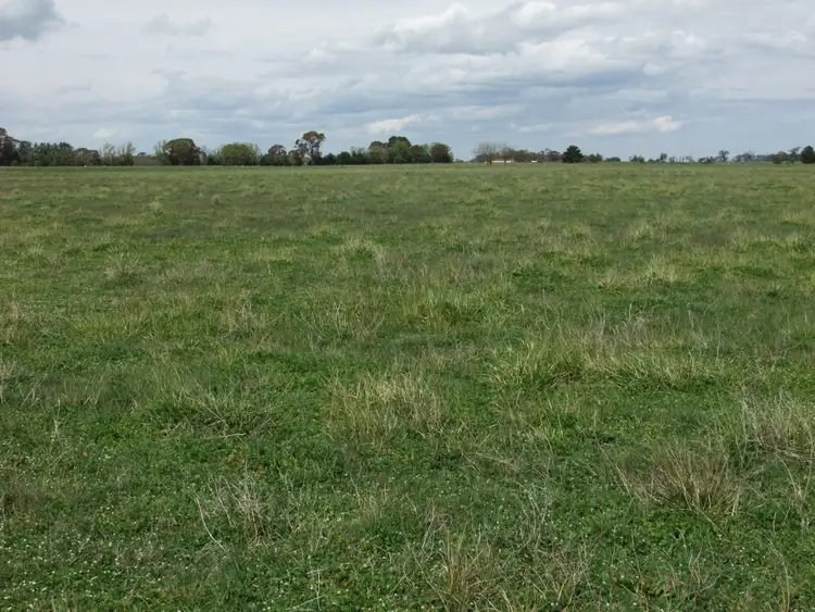 Third view of Homely rural property listing, 397 Forest Road, Spring Hill NSW 2800