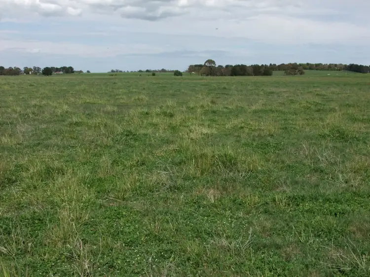 Fourth view of Homely rural property listing, 397 Forest Road, Spring Hill NSW 2800