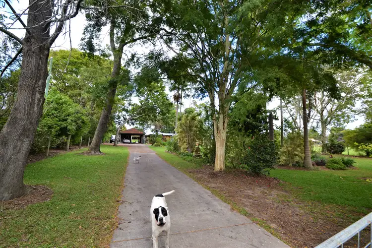 Main view of Homely house listing, 54 Mountain Vista Drive, Glass House Mountains QLD 4518