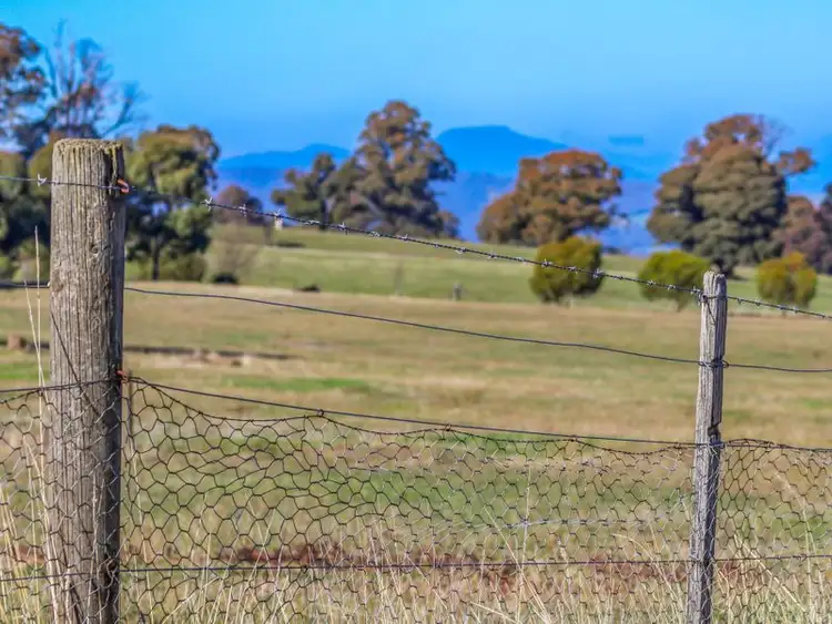 Fourth view of Homely land listing, 980 Tabletop Road, Tolmie VIC 3723
